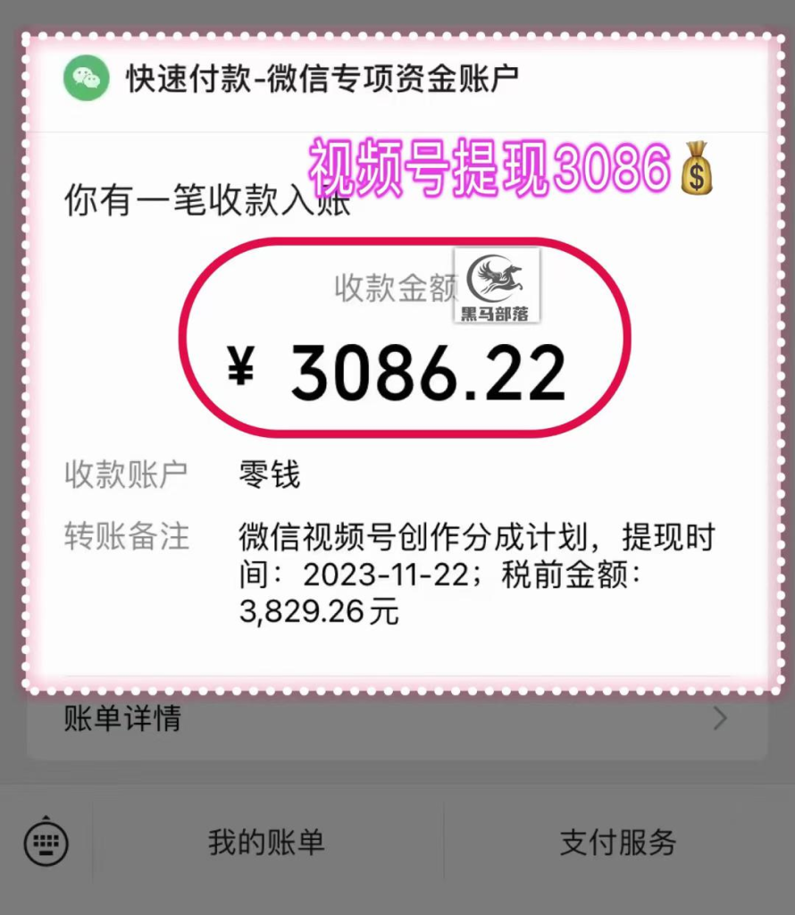 图片[6]|【陪跑项目】视频号4.0高阶变现项目介绍|琦哥资源