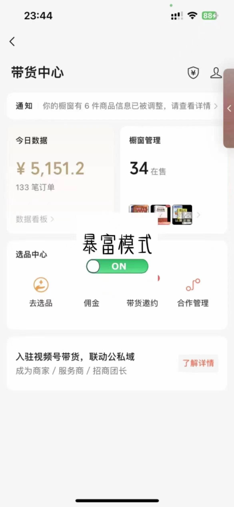 图片[8]|【陪跑项目】视频号4.0高阶变现项目介绍|琦哥资源