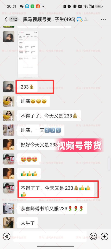 图片[16]|【陪跑项目】视频号4.0高阶变现项目介绍|琦哥资源