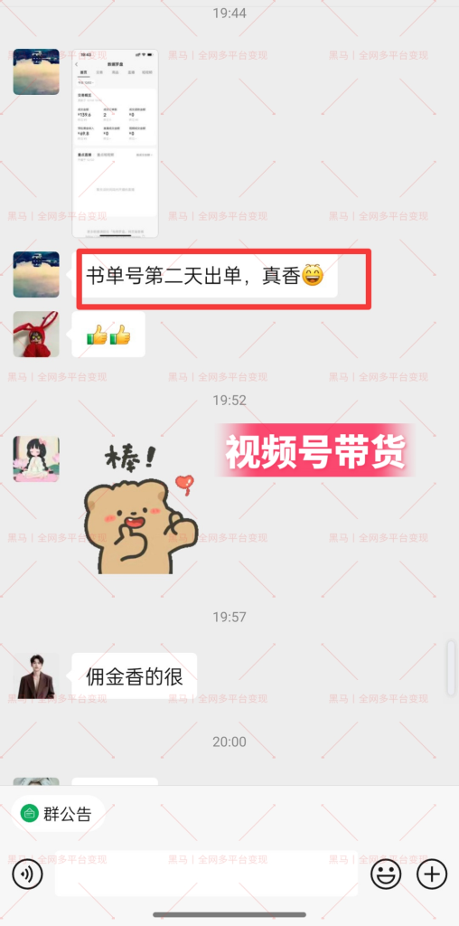 图片[17]|【陪跑项目】视频号4.0高阶变现项目介绍|琦哥资源
