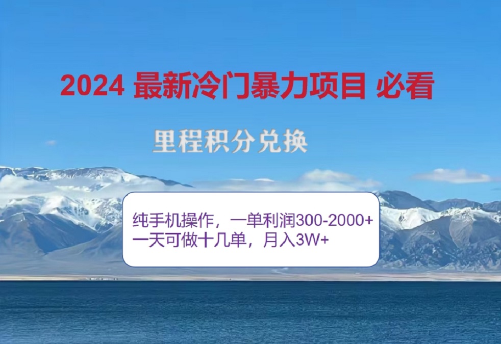 2024惊爆冷门暴利！出行高峰来袭，里程积分，高爆发期，一单300+—2000+，月入过万不是梦！|琦哥资源