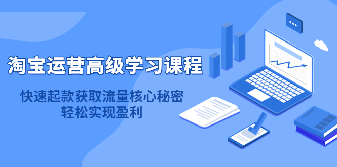 淘宝运营高级学习课程：快速获取流量核心秘密，轻松实现盈利！|琦哥资源