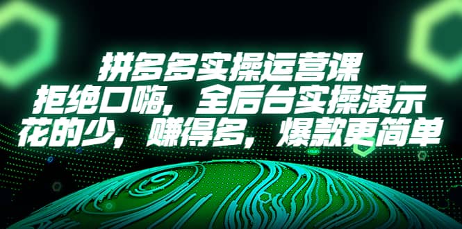 拼多多实操运营课：拒绝口嗨，全后台实操演示，花的少，赚得多，爆款更简单|琦哥资源