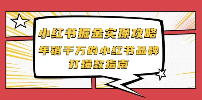 小红书掘金实操攻略，年销千万的小红书品牌打爆款指南|琦哥资源