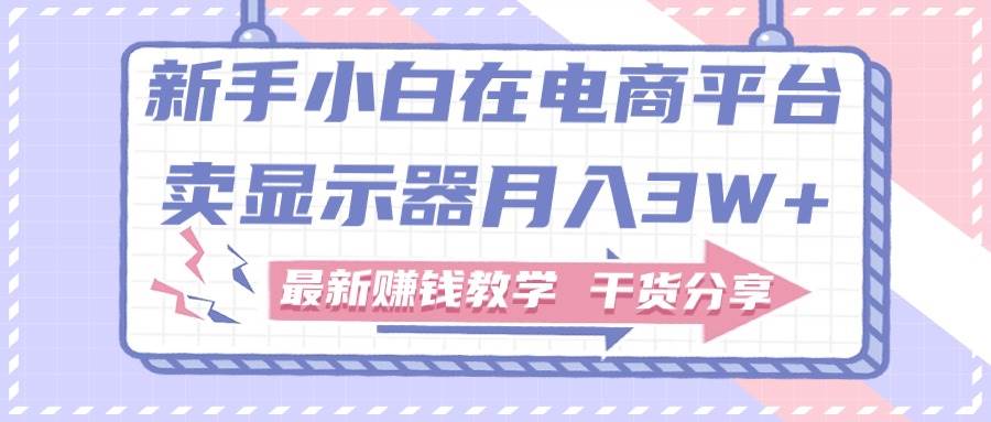 新手小白如何做到在电商平台卖显示器月入3W+，最新赚钱教学干货分享|琦哥资源