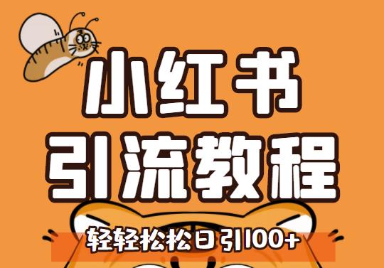 小红书运营引流全系列课程，每天引流100精准粉|琦哥资源