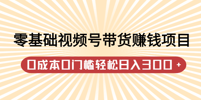 零基础视频号带货赚钱项目，0成本0门槛轻松日入300+【视频教程】|琦哥资源