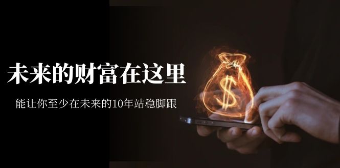 某收费文章《未来的财富在这里》能让你至少在未来的10年站稳脚跟|琦哥资源