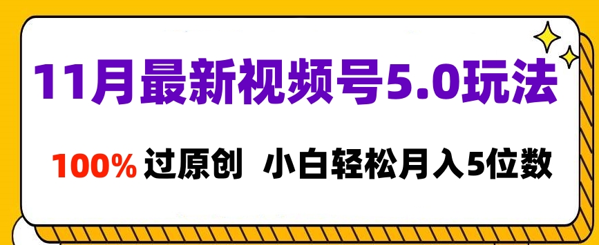 11月最新视频号5.0玩法，100%过原创，小白轻松月入5位数|琦哥资源