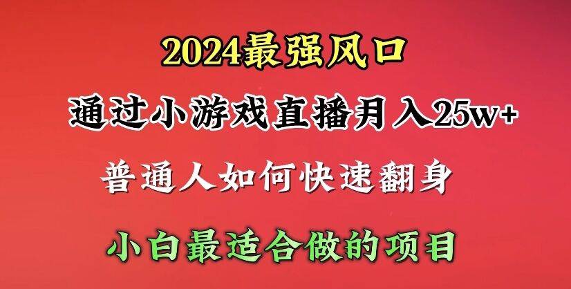 2024年最强风口，通过小游戏直播月入25w+单日收益5000+小白最适合做的项目|琦哥资源