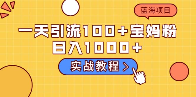 一天引流100+宝妈粉，日入1000+的蓝海项目（实战教程）|琦哥资源
