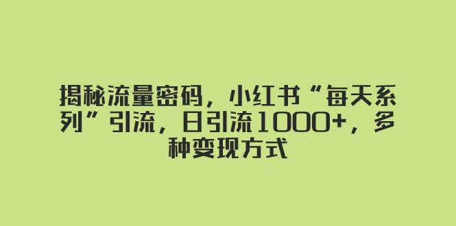 揭秘流量密码，小红书“每天系列”引流，日引流1000+，多种变现方式|琦哥资源