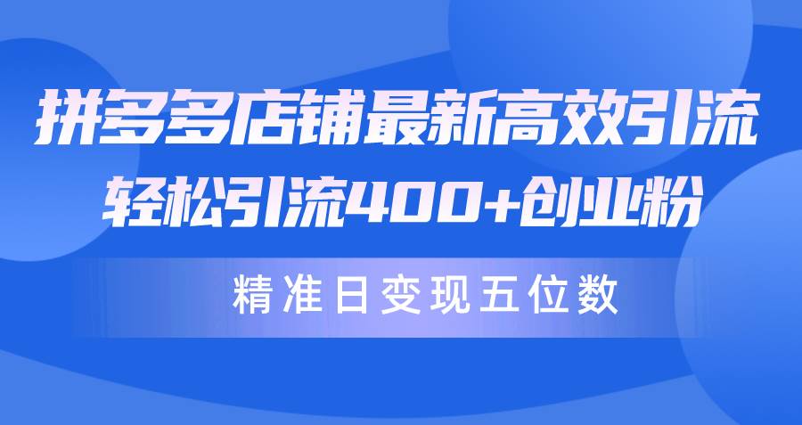 拼多多店铺最新高效引流术，轻松引流400+创业粉，精准日变现五位数！|琦哥资源