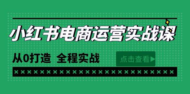 最新小红书·电商运营实战课，从0打造  全程实战（65节视频课）|琦哥资源