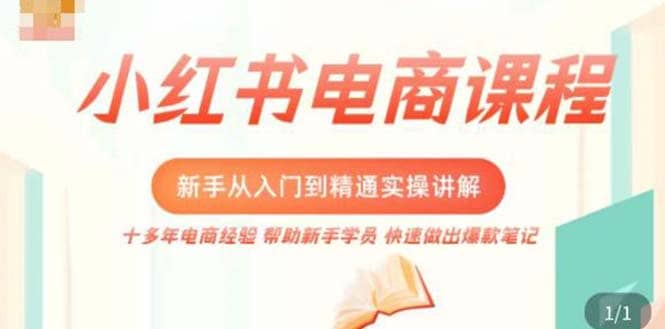 小红书电商新手入门到精通实操课，从入门到精通做爆款笔记，开店运营|琦哥资源