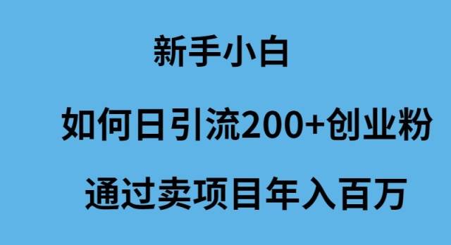 新手小白如何日引流200+创业粉通过卖项目年入百万|琦哥资源