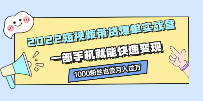 2022短视频带货爆单实战营，一部手机就能快速变现|琦哥资源