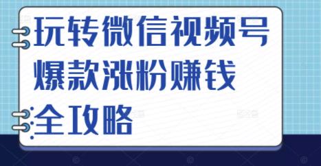 玩转微信视频号爆款涨粉赚钱全攻略，让你快速抓住流量风口，收获红利财富|琦哥资源
