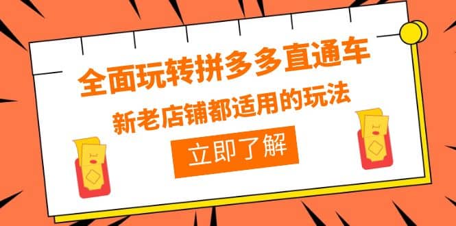 全面玩转拼多多直通车，新老店铺都适用的玩法（12节精华课）|琦哥资源