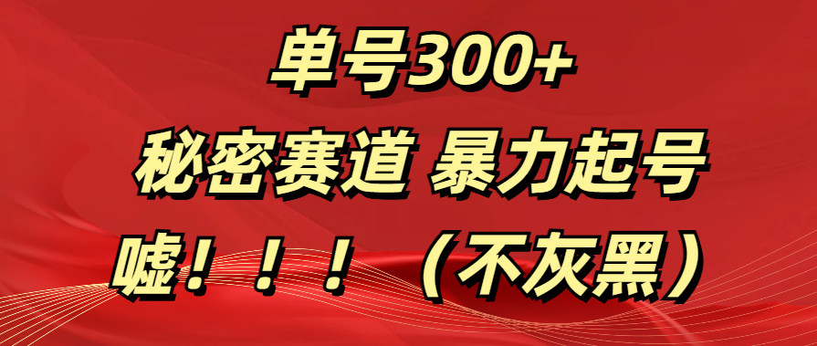 单号300+  秘密赛道 暴力起号  （不灰黑）|琦哥资源