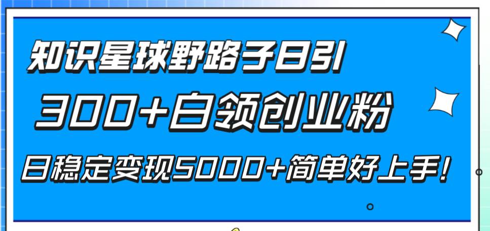 知识星球野路子日引300+白领创业粉，日稳定变现5000+简单好上手！|琦哥资源