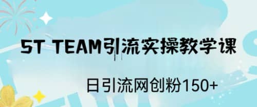 ST TEAM引流实操课，日引流网创粉100+|琦哥资源