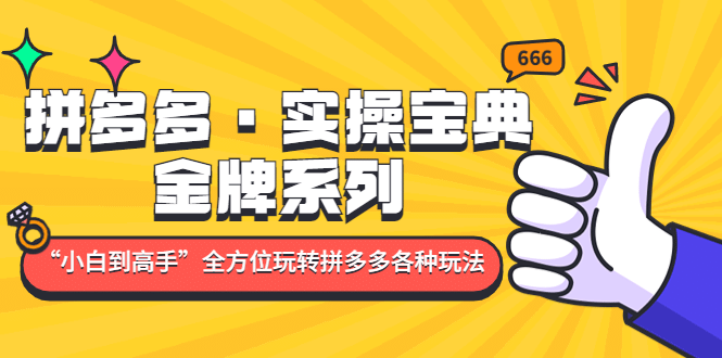 拼多多·实操宝典：金牌系列“小白到高手”带你全方位玩转拼多多各种玩法|琦哥资源