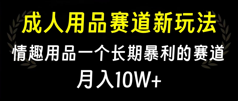 大人用品赛道新玩法，情趣用品一个长期暴利的赛道，月入10W+|琦哥资源
