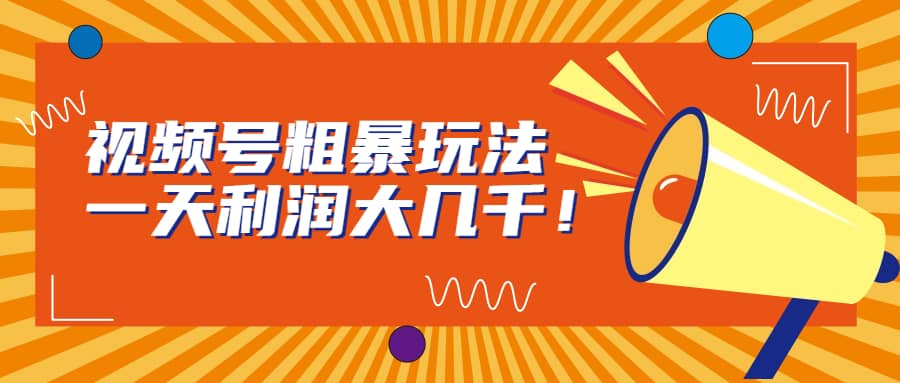 视频号粗暴玩法，一天利润大几千|琦哥资源