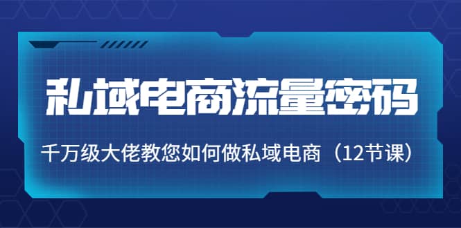 私域电商流量密码：千万级大佬教您如何做私域电商（12节课）|琦哥资源