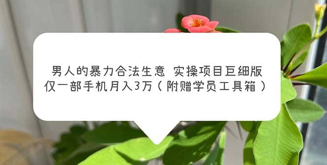男人的暴力合法生意实操项目巨细版：仅一部手机月入3w（附赠学员工具箱）|琦哥资源