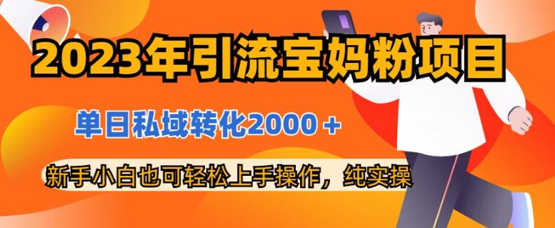 2023年引流宝妈粉项目，单日私域转化2000＋，新手小白也可轻松上手操作，纯实操|琦哥资源