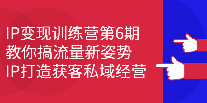 IP变现训练营第6期：教你搞流量新姿势，IP打造获客私域经营|琦哥资源