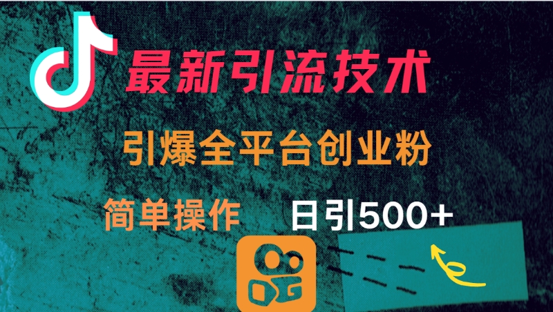 最新引流方法，引爆全平台创业粉操作简单，日引300＋|琦哥资源