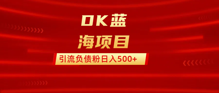 DK蓝海项目  通过，抖音，快手，小红书，引流负债粉日入500+|琦哥资源