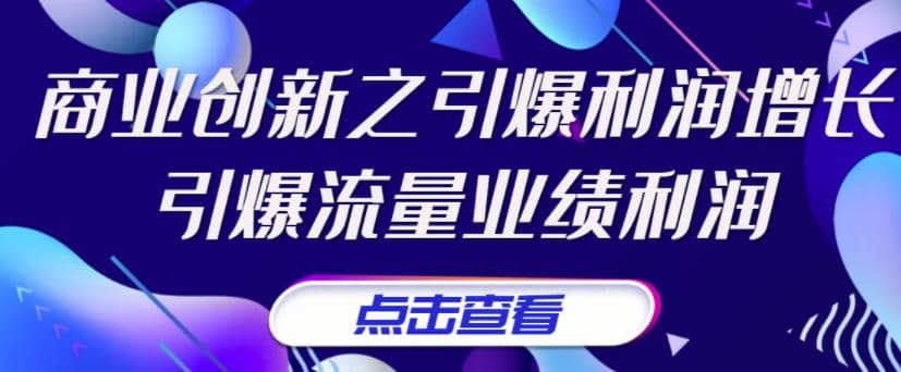 《商业创新之引爆利润增长》引爆流量业绩利润|琦哥资源