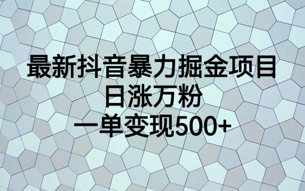 最火热的抖音暴力掘金项目，日涨万粉，多种变现方式，一单变现可达500+|琦哥资源