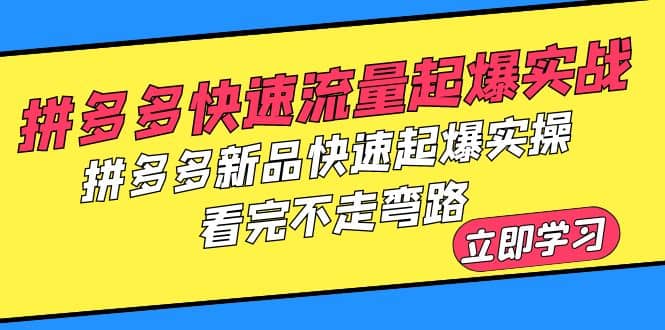 拼多多-快速流量起爆实战，拼多多新品快速起爆实操，看完不走弯路|琦哥资源