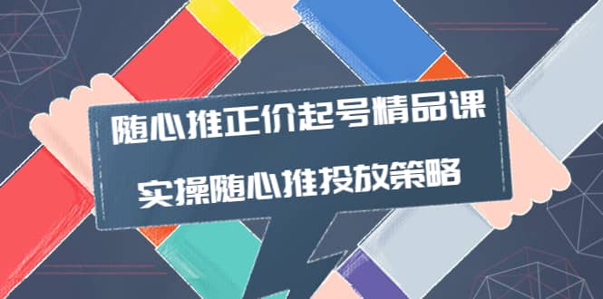 随心推正价起号精品课，实操随心推投放策略（5节课-价值298）|琦哥资源