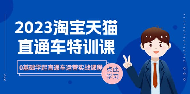 2023淘宝·天猫直通车评特训课，0基础学起直通车运营实战课程（8节课时）|琦哥资源