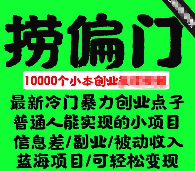 千款捞偏门小本创业小项目，总有一款适合你【无水印】|琦哥资源