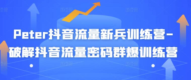 Peter抖音流量新兵训练营-破解抖音流量密码群爆训练营（新兵）|琦哥资源