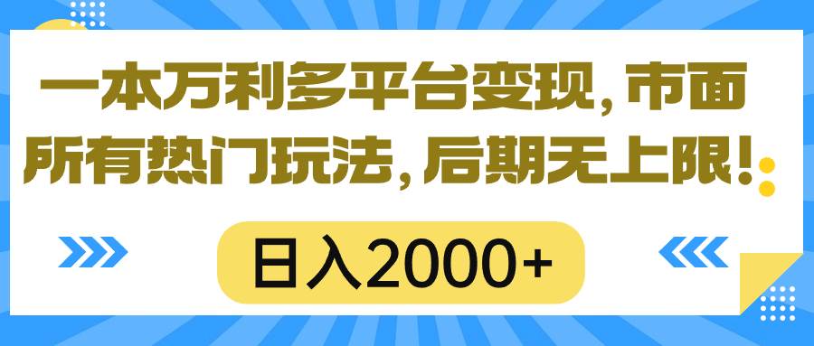 一本万利多平台变现，市面所有热门玩法，日入2000+，后期无上限！|琦哥资源