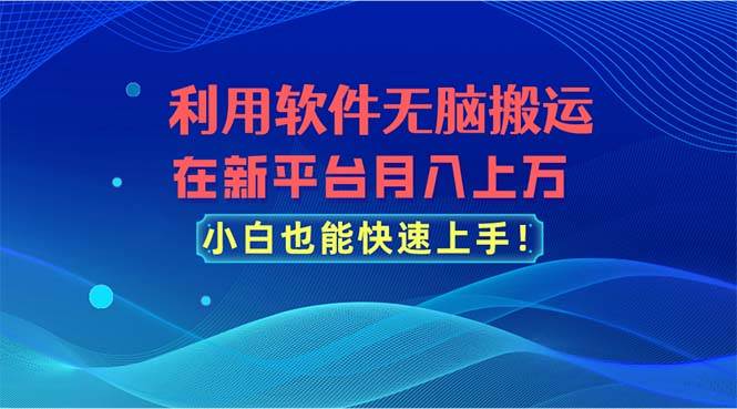 利用软件无脑搬运，在新平台月入上万，小白也能快速上手|琦哥资源