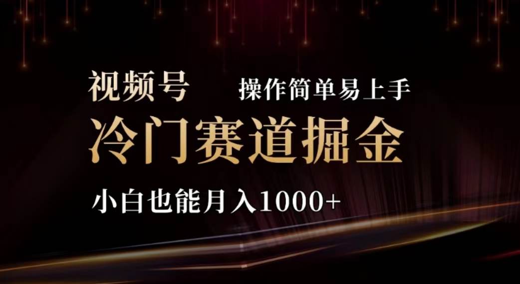 2024视频号冷门赛道掘金，操作简单轻松上手，小白也能月入1000+|琦哥资源