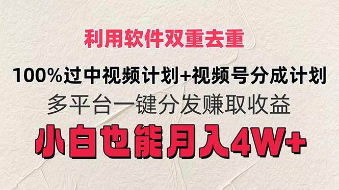 利用软件双重去重，100%过中视频+视频号分成计划小白也可以月入4W+|琦哥资源