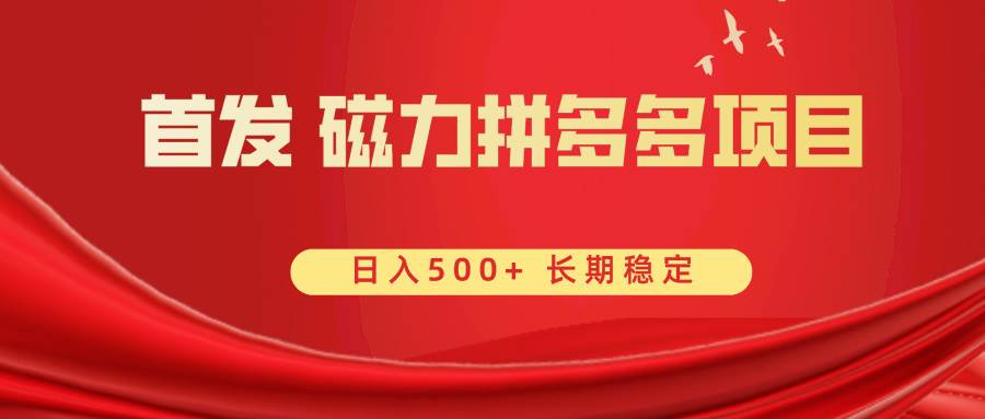 首发 磁力拼多多自撸  日入500+|琦哥资源