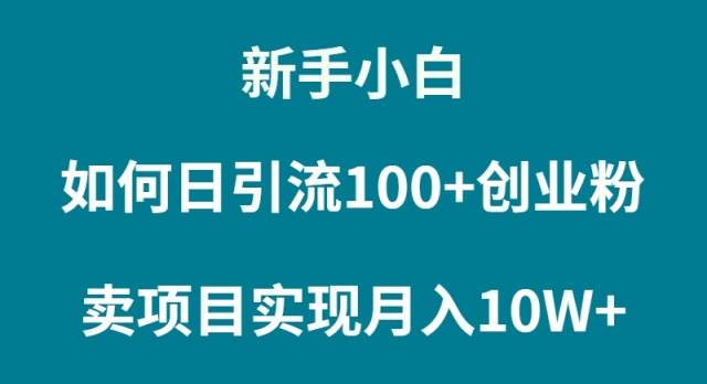 新手小白如何通过卖项目实现月入10W+|琦哥资源