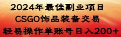 2024年最佳副业项目 CSGO饰品装备交易 轻易操作单账号日入200+|琦哥资源