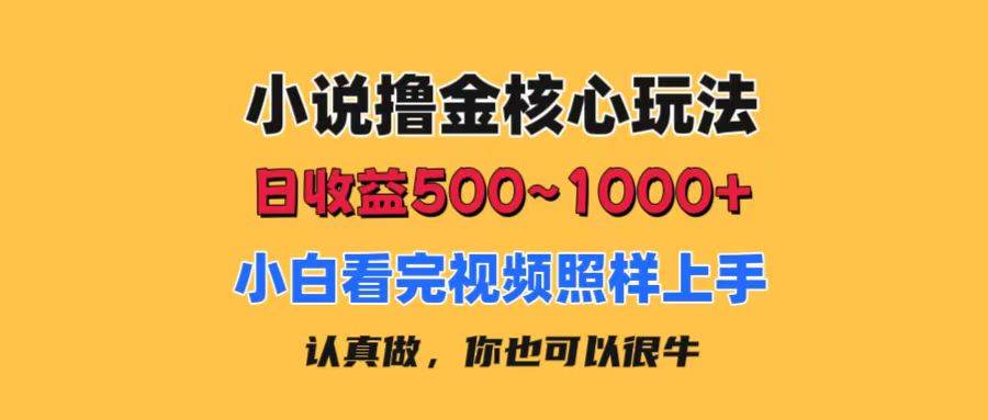 小说撸金核心玩法，日收益500-1000+，小白看完照样上手，0成本有手就行|琦哥资源